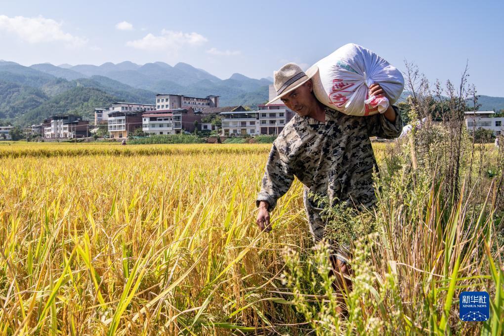 打牌网下载